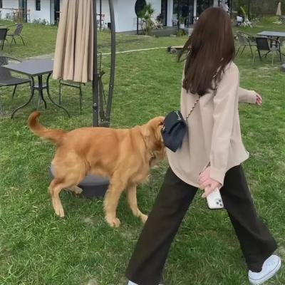 卧鱼
